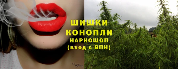 амф Ачинск