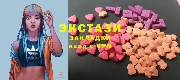 твердый Магас