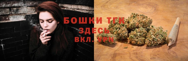твердый Магас