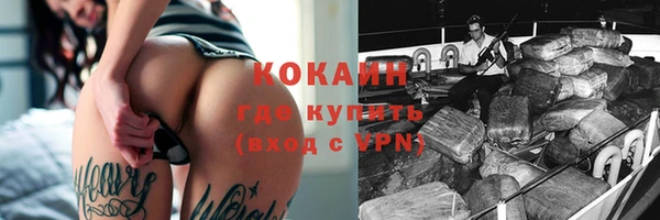 твердый Магас