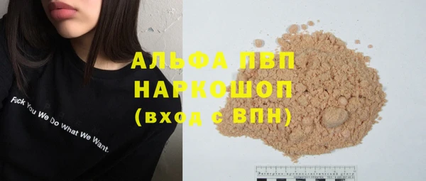 твердый Магас