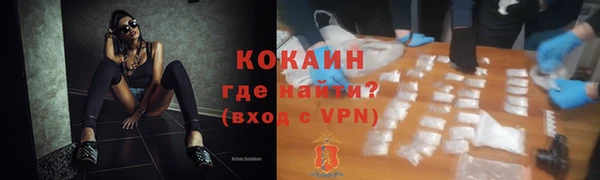 твердый Магас
