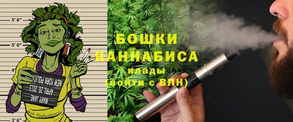 твердый Магас