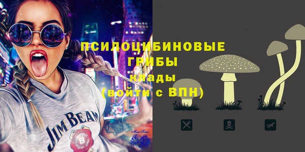 твердый Магас