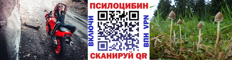 Псилоцибиновые грибы Magic Shrooms  Староминская 