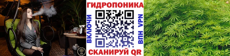 нарко площадка официальный сайт  Староминская  Канабис гибрид 